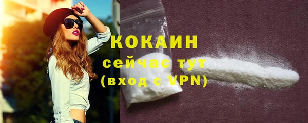гидра Абаза