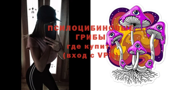гидра Абаза