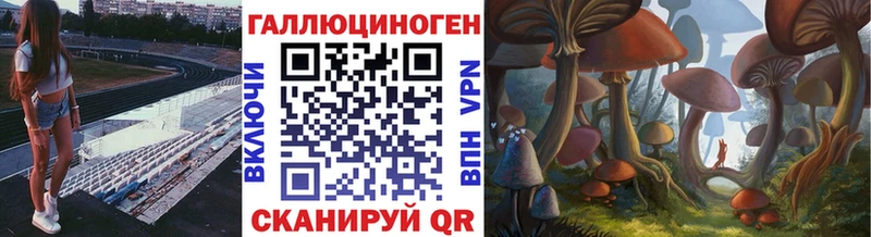 Псилоцибиновые грибы мицелий  Кедровый 